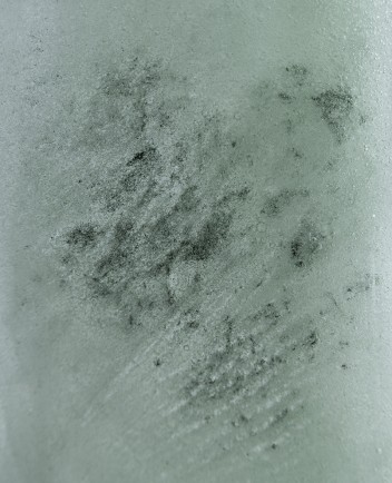 Fotografia cyfrowa przedstawiająca fragmenty chlorofilu, duże powiększenie szarych plam na zamglonym tle