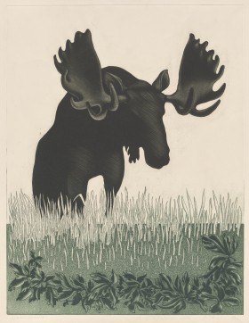 Zdjęcie pracy Greeting Card for a Moose