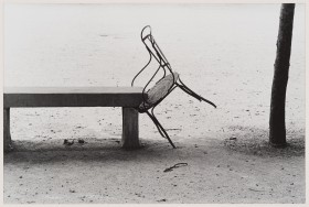 Zdjęcie pracy Ławka, krzesło, drzewo, Tuilleries, Paryż